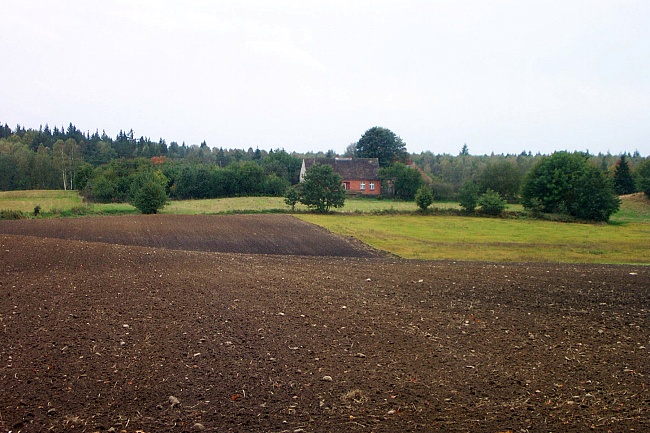 kliknij, aby powr�ci�...