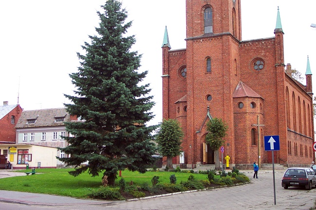 kliknij, aby powr�ci�...