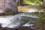 Rzeka Gwda
